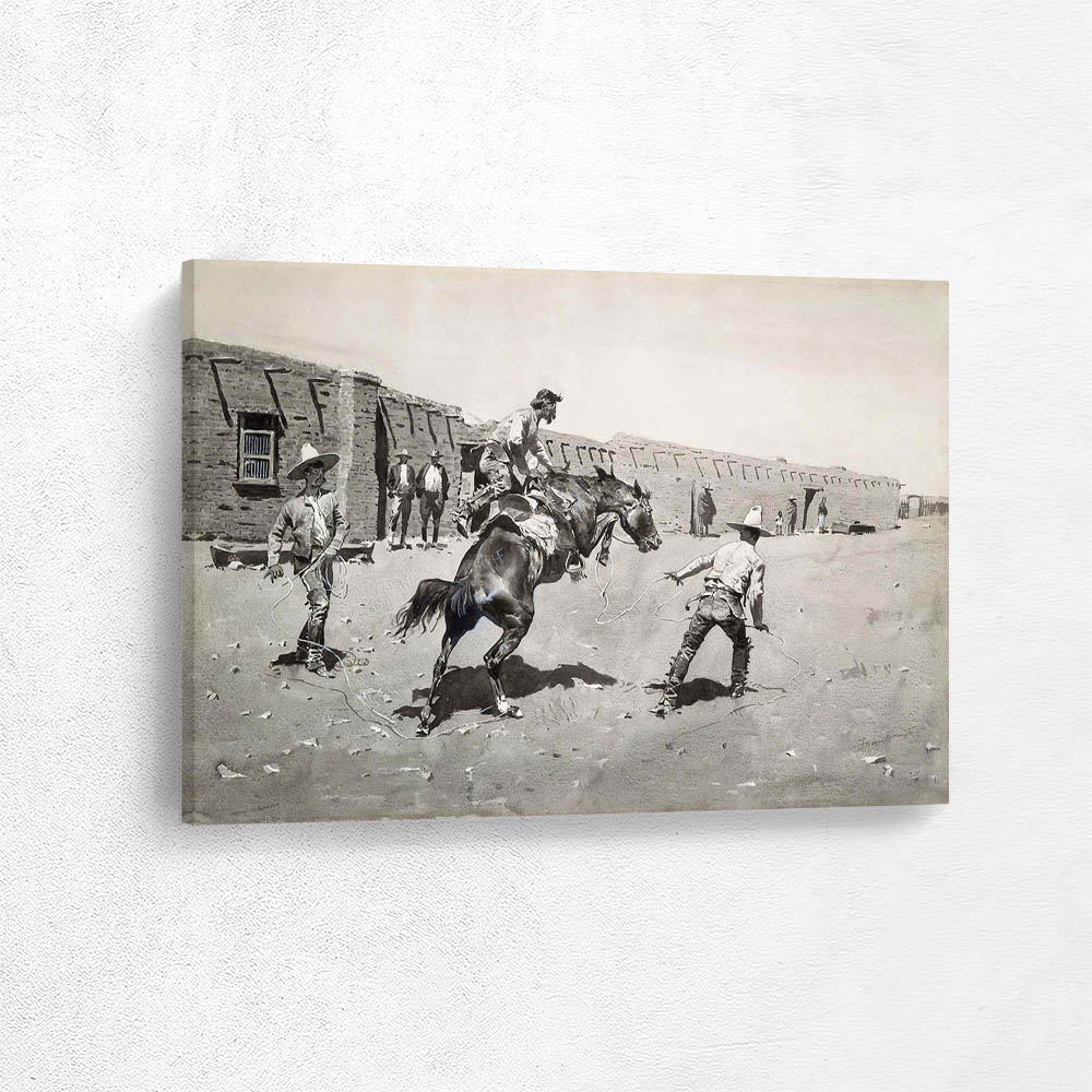 Mexican Vaqueros Breaking a “Bronc” 