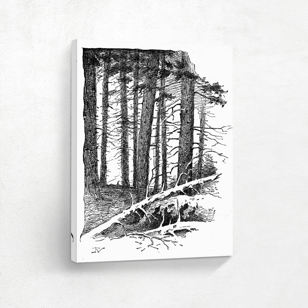  The Song of Hiawatha 28