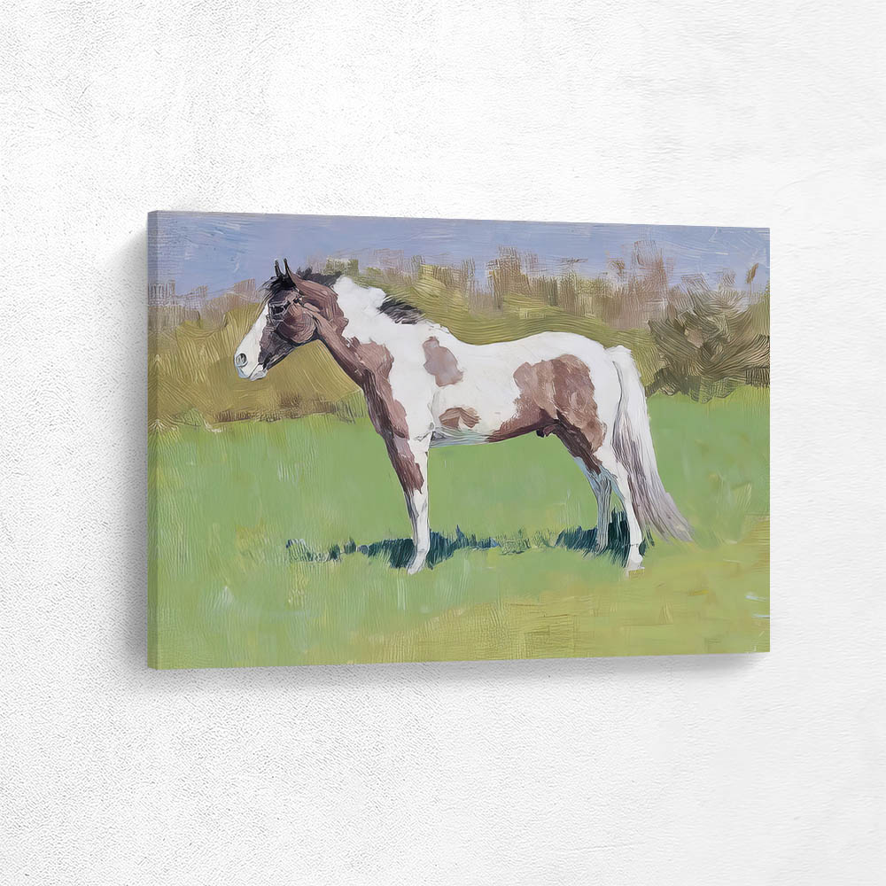 Horse Study 