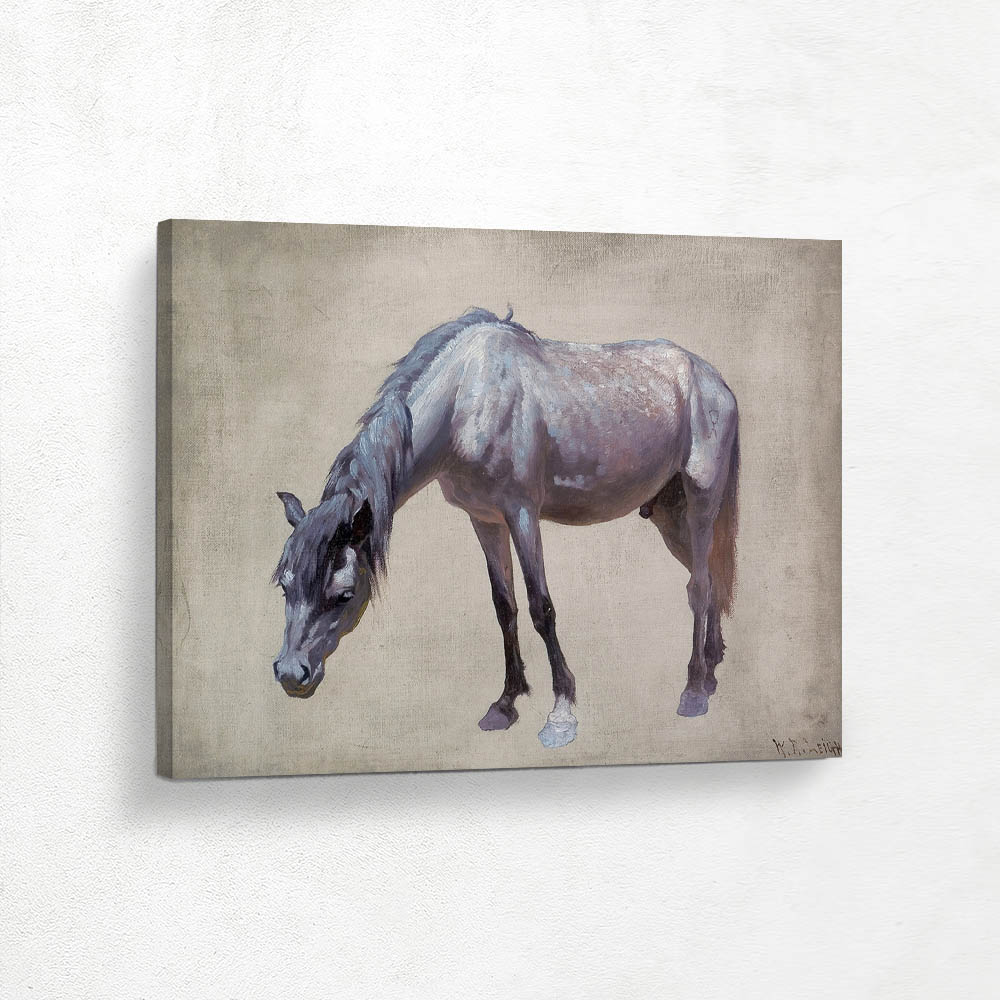 Navajo Horse