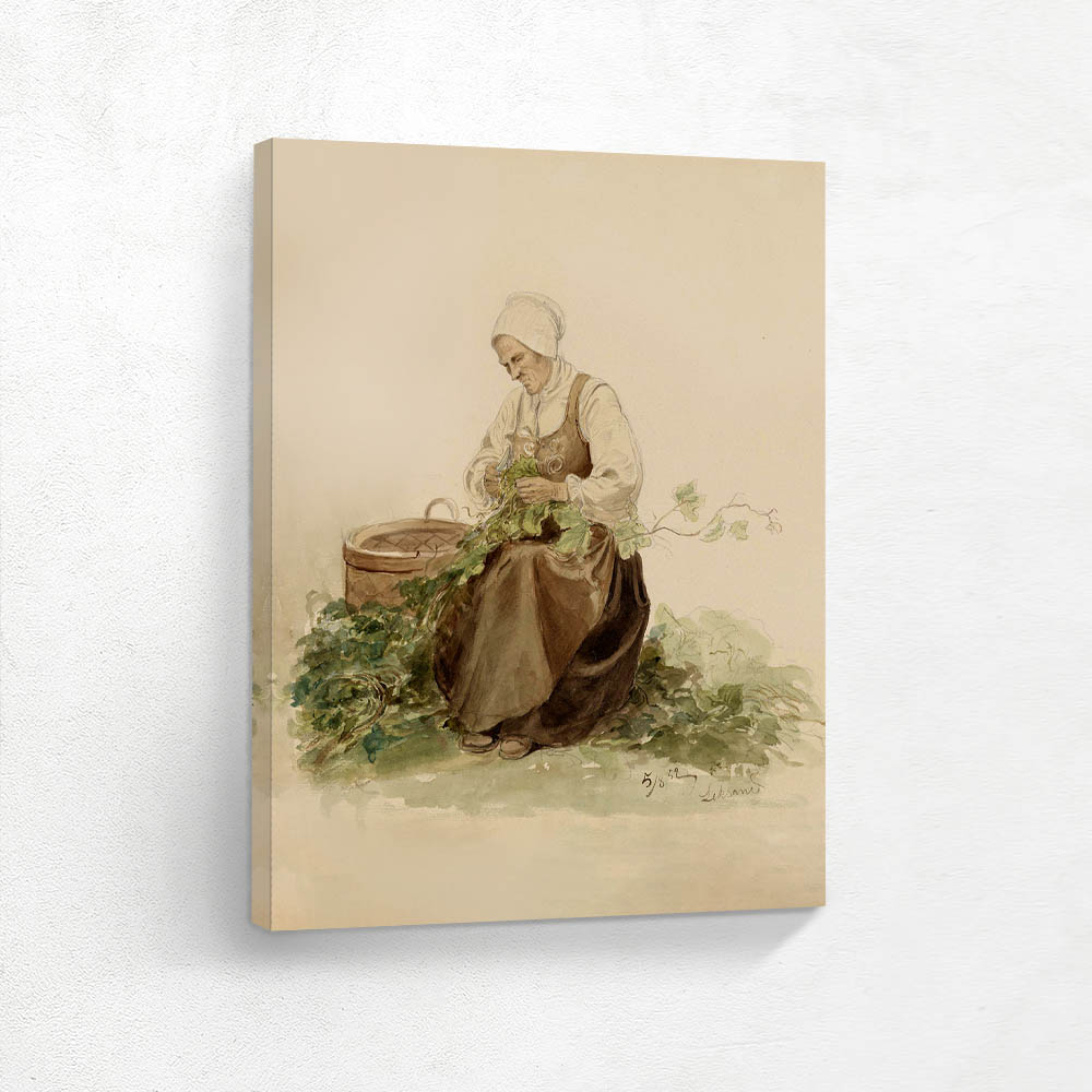 Wife Picking Oak Leaves