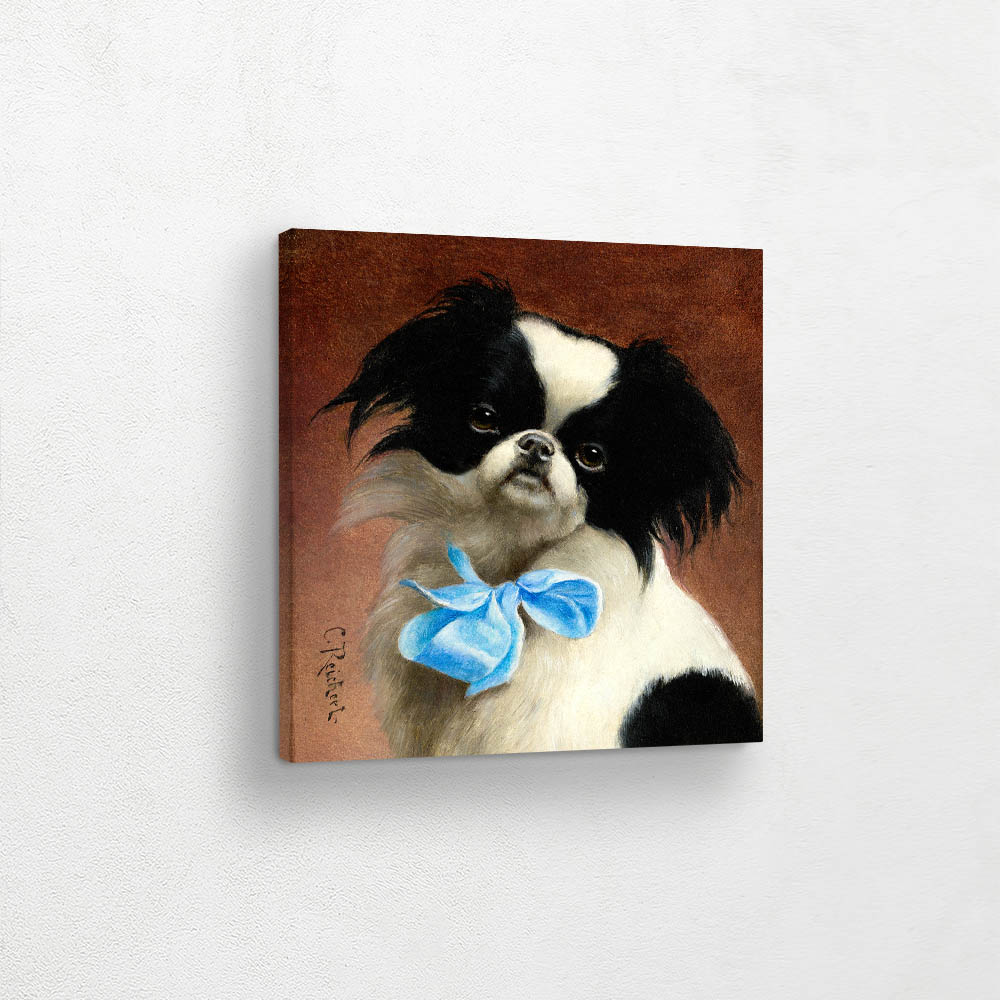 Japanese Chin