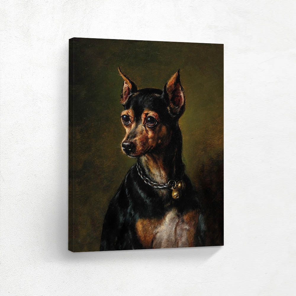 Pinscher in Collar with Bells