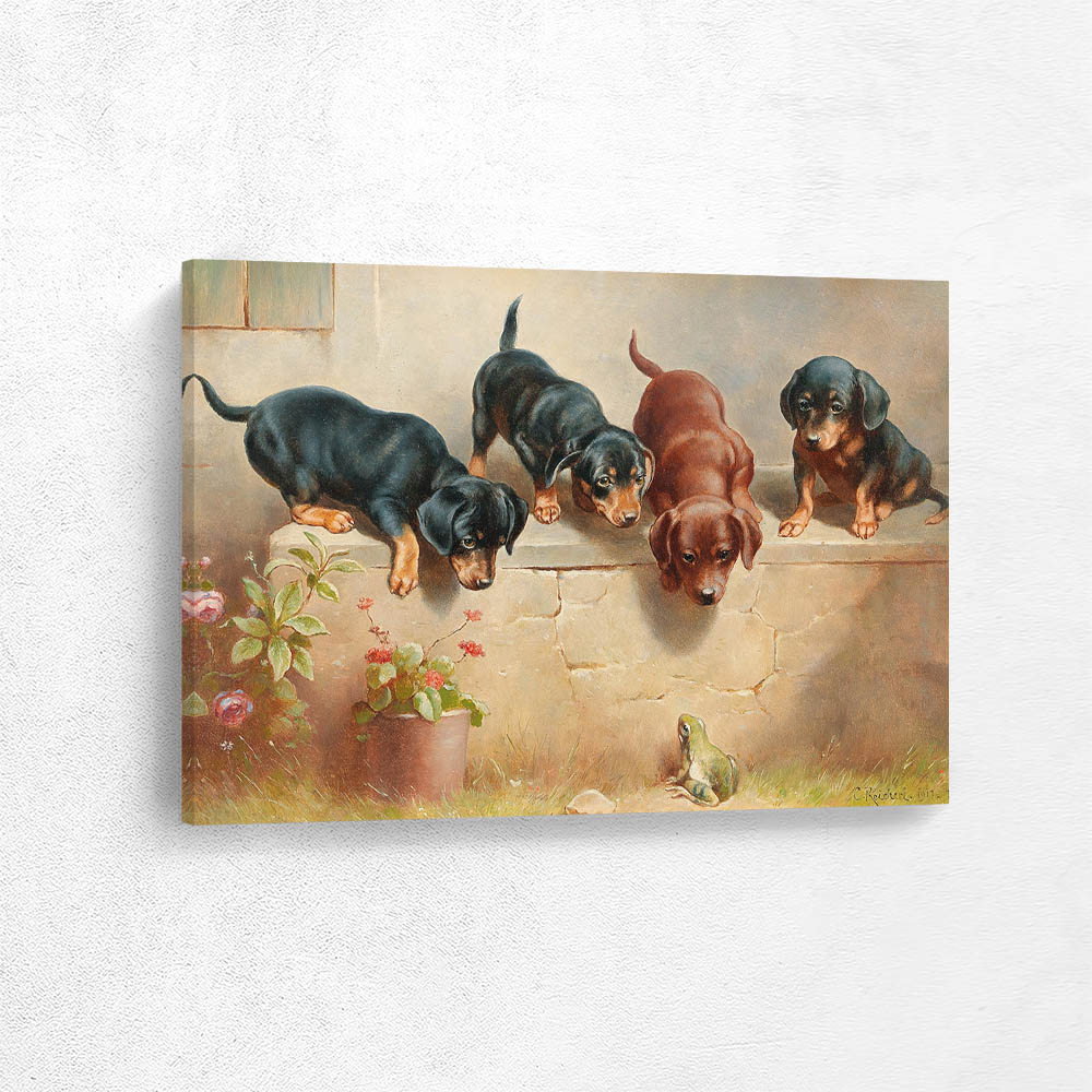 Curious Dachshund Puppies and a Frog