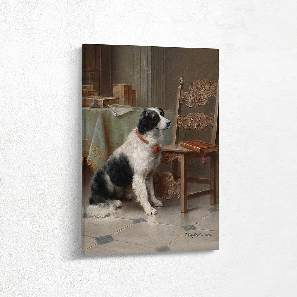 The darling of the family