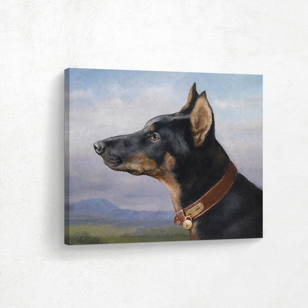 Portrait of a Doberman