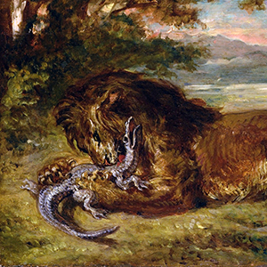 Alligators and Crocodile