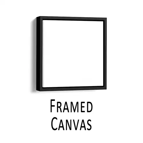 Framed Canvas