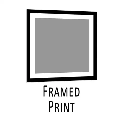 Framed Print