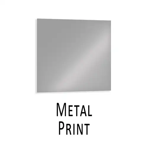 Metal Print